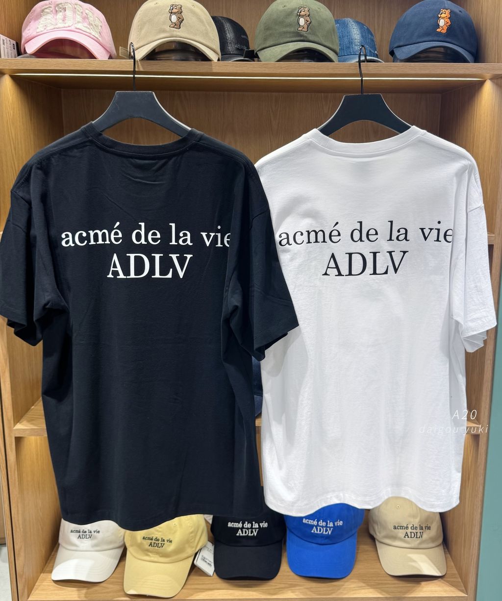 image_0A9A557E-B5F5-46ED-A433-3F28BD196BBD_1761383244