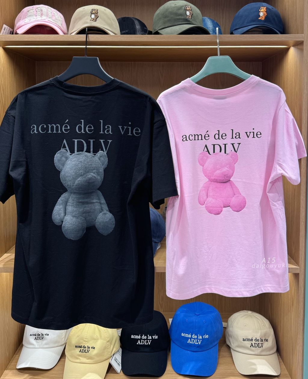 image_9F8B4527-574B-40FC-8C9E-E9BE4D71122B_1761669429