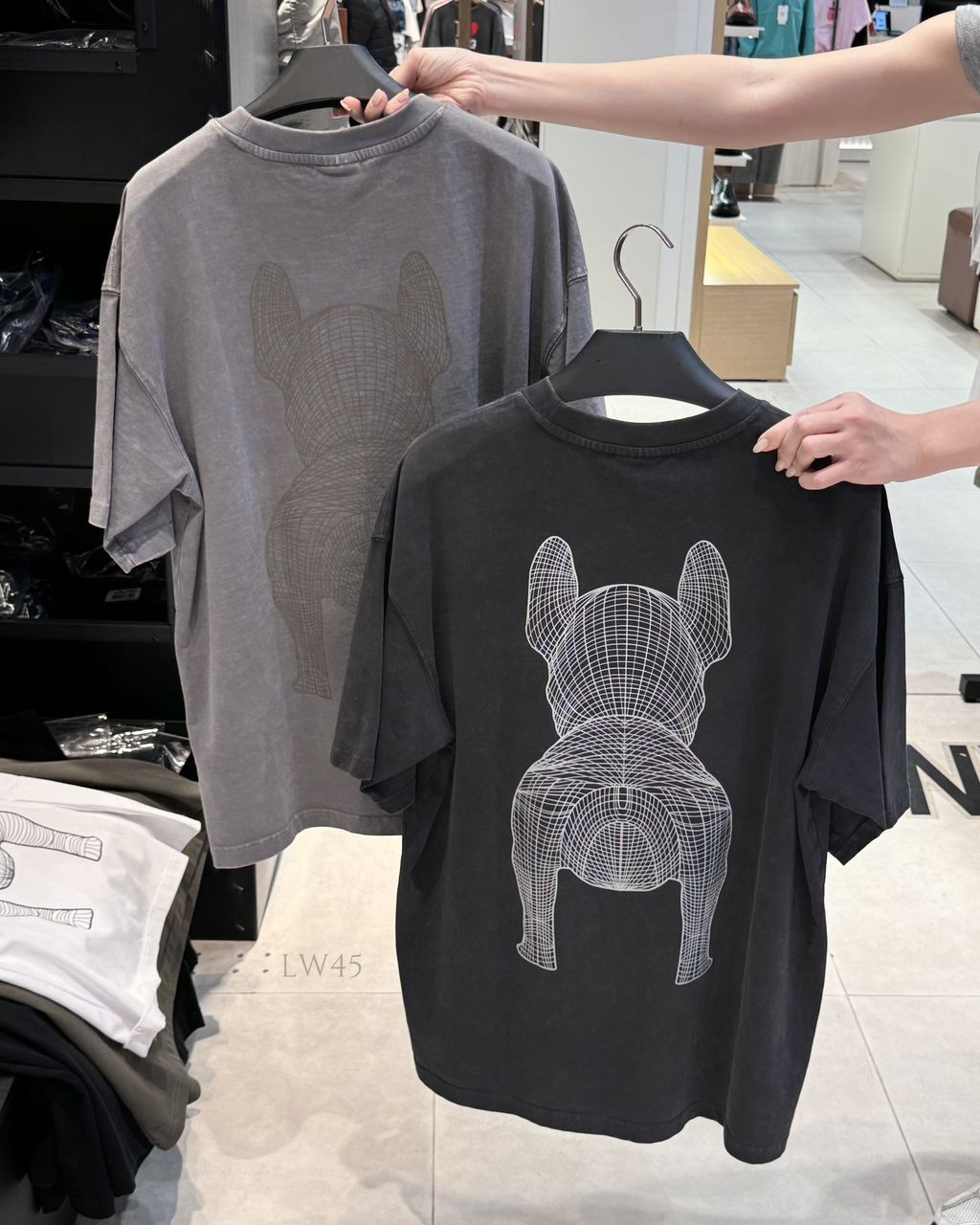 IMG_9748-1736276629763