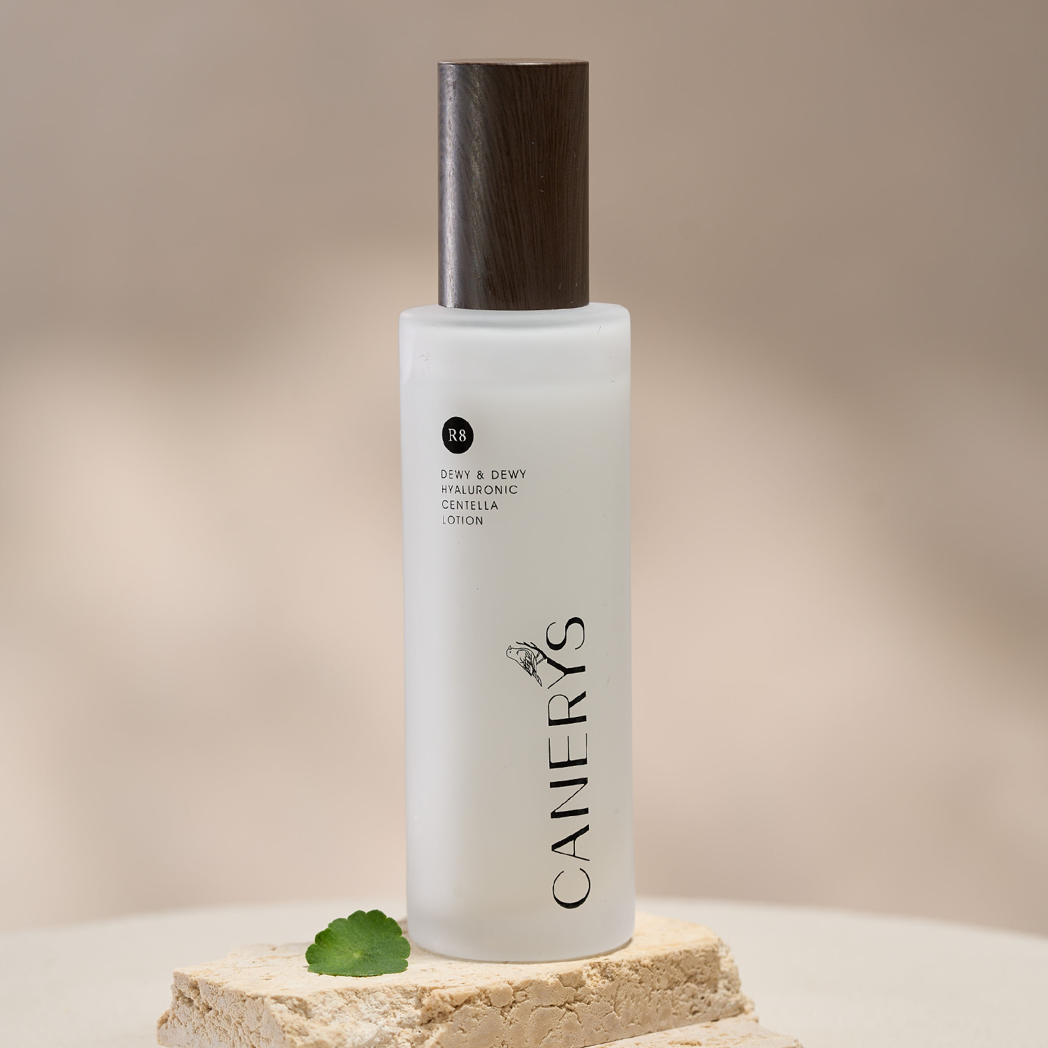 P-LOTION2