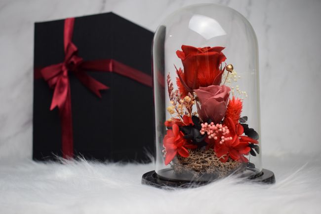 Endearment | Online Florist in Malaysia | Featured Collections - GLASS CLOCHE SERIES