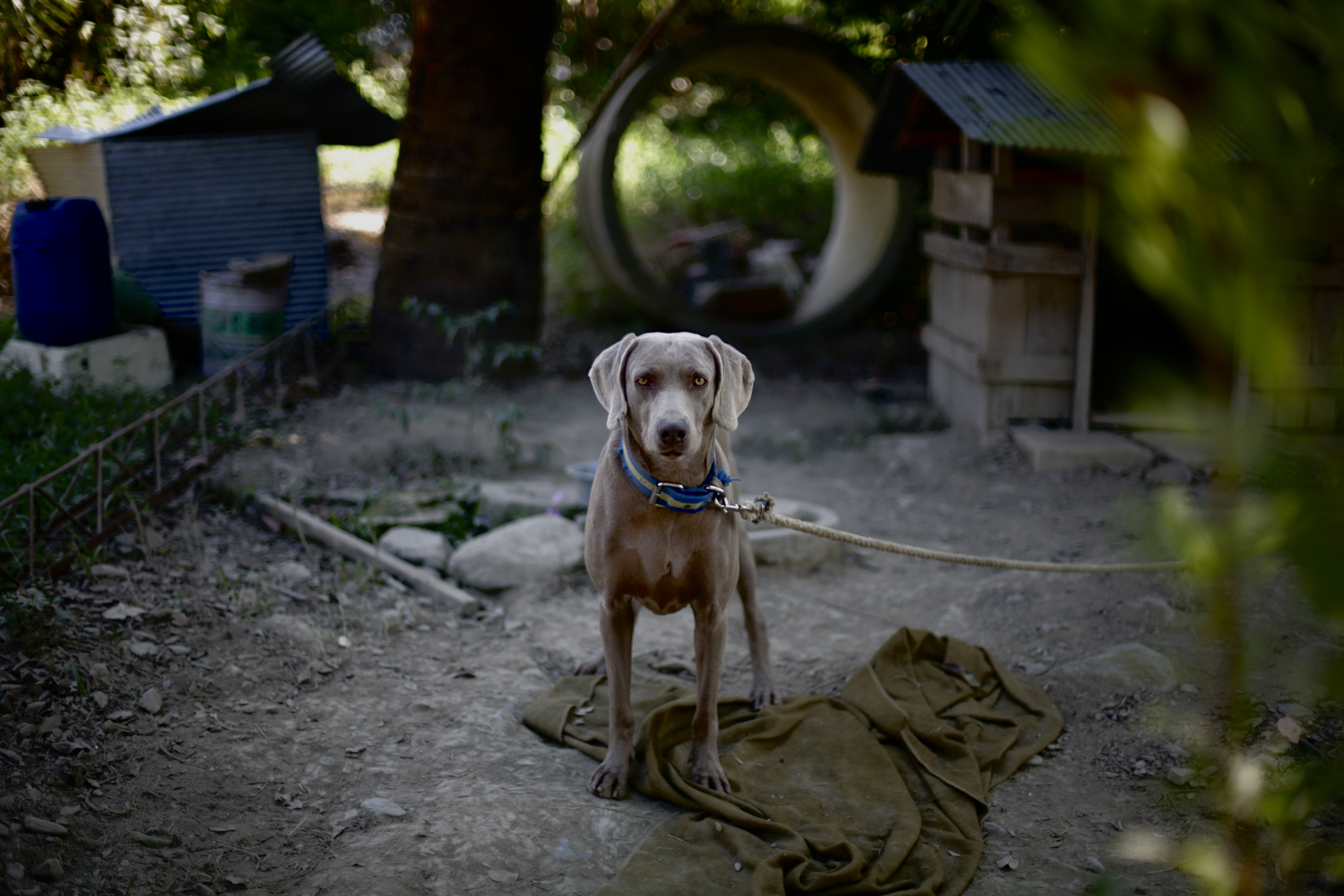 CHIH TA CHEN｜In the Eyes｜2008 Epson Color Imaging Contest｜カラーイメージングコンテスト 2008