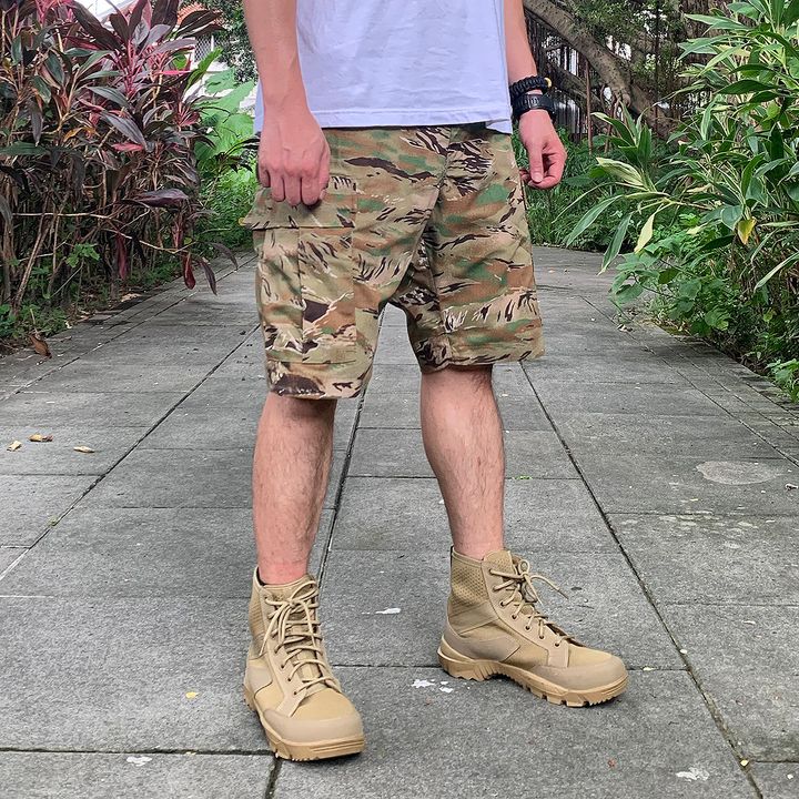 bdu9寸多虎1.jpg