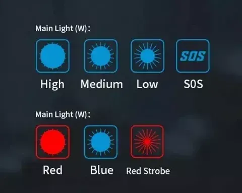 800x (1)