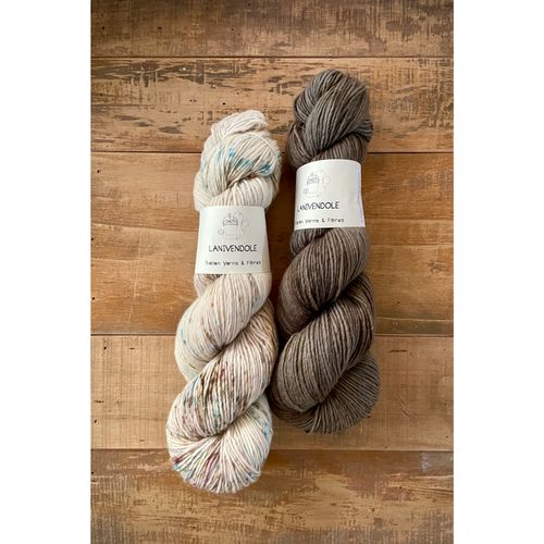 【Wire Story】イタリアの小さいながらも繊細な手染め糸 ラニベンドール - A Pure & Simple Woolシリーズ