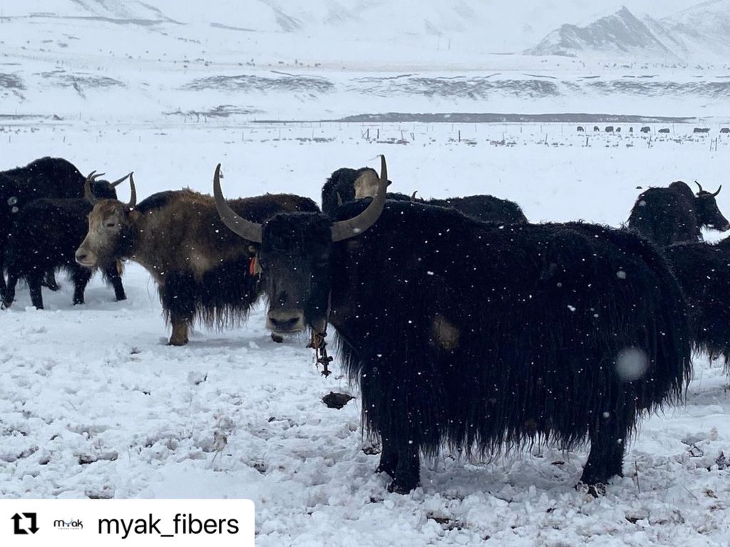 B574ACC9-4778-45FD-A067-8830F3FA0CEC