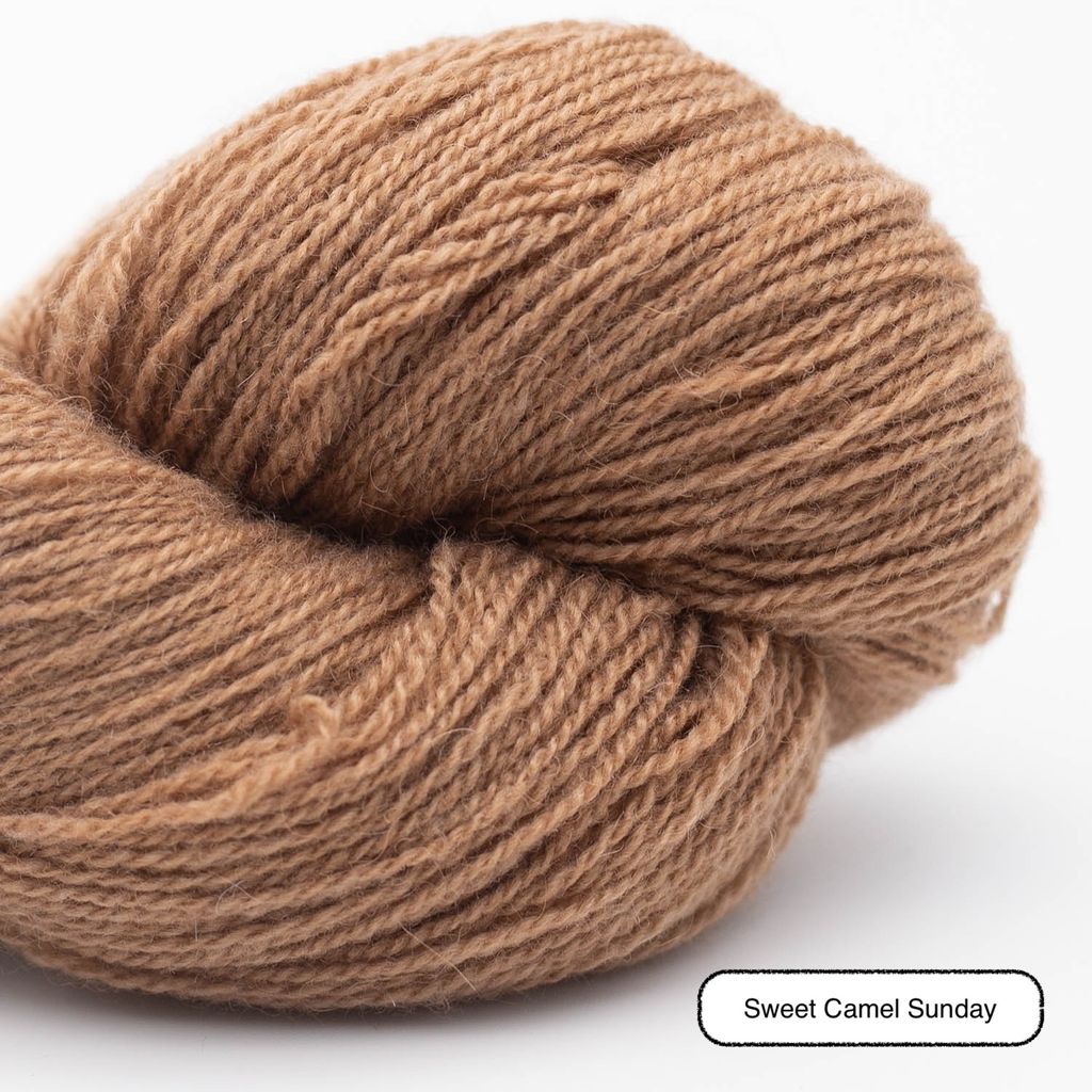 Sweet camel sunday