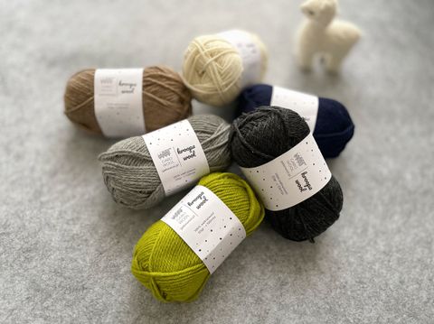 ISIMG-981661-1701908284585