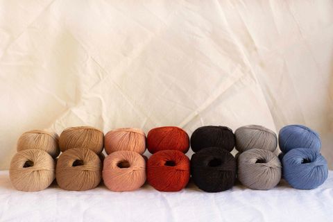 mYak_Baby Camel_palette_1200x800_10_N