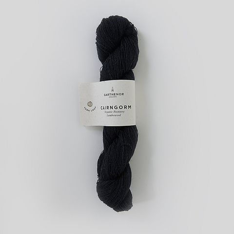 Cairngorm_Holly_1_medium2