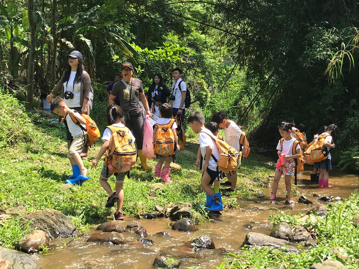 【摸水、摸魚、摸個蝦】桃米休閒農業區