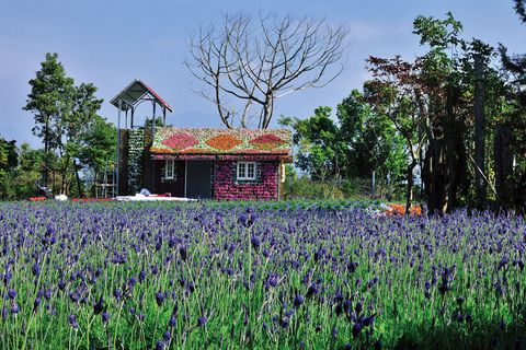 花露休閒農場 (21).jpg