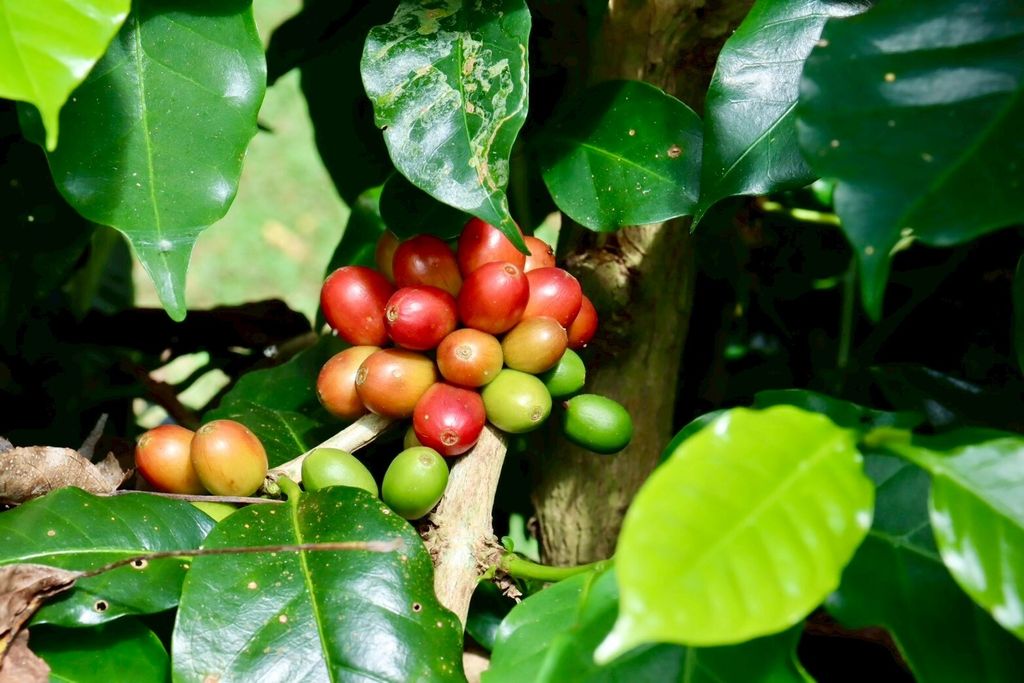 LINE_ALBUM_調色_251231_1