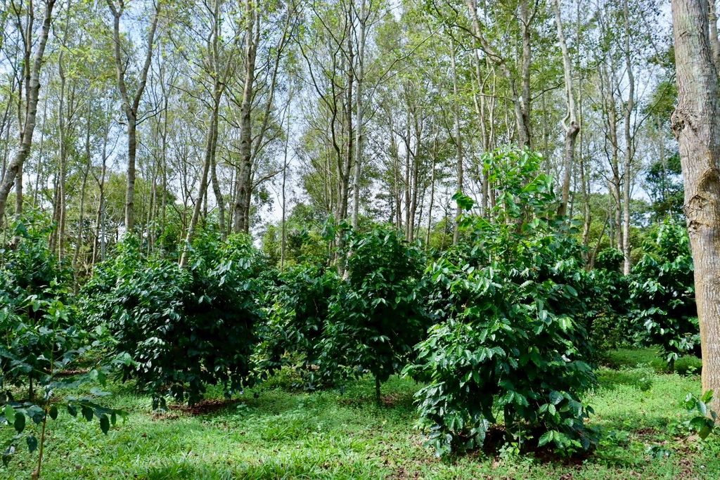 LINE_ALBUM_調色_251231_2