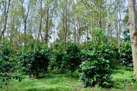 LINE_ALBUM_調色_251231_2