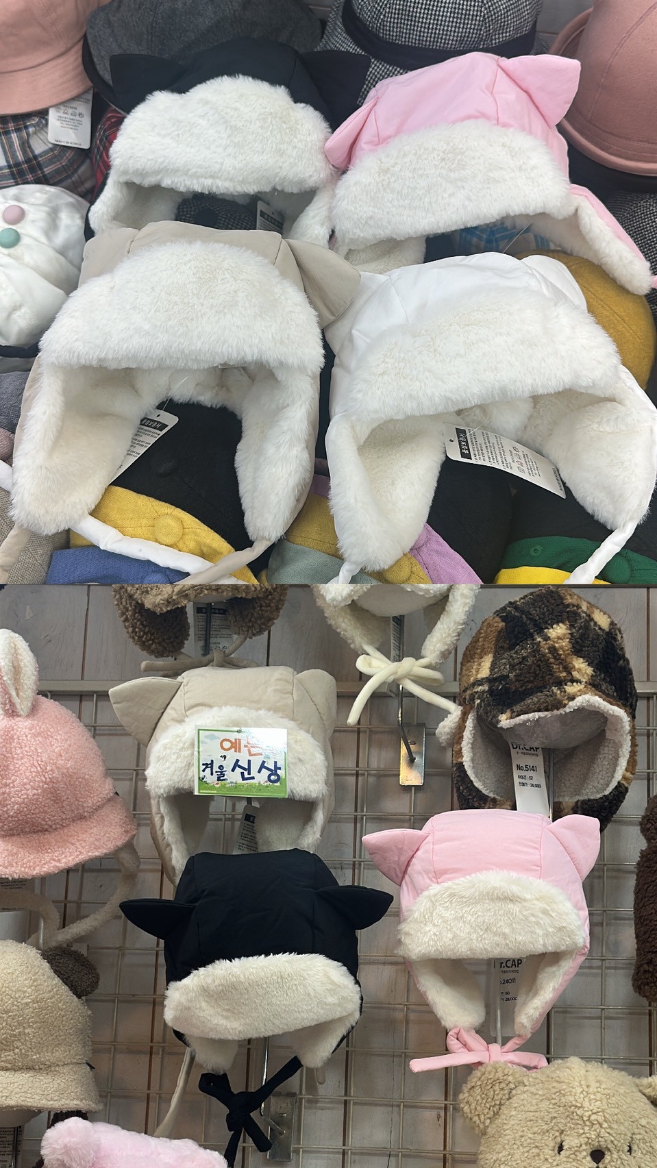 LINE_ALBUM_20251119_251119_5