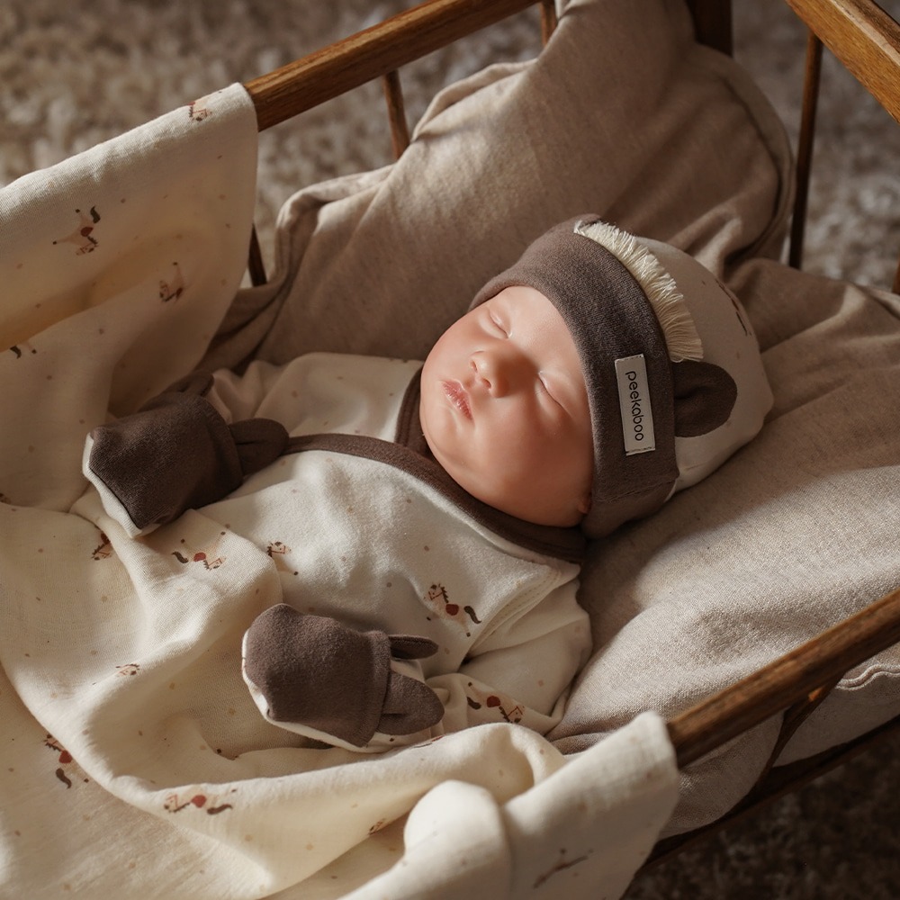 imgi_24_1361b4dfb06dd11bbeeaf39ee5fe37c6