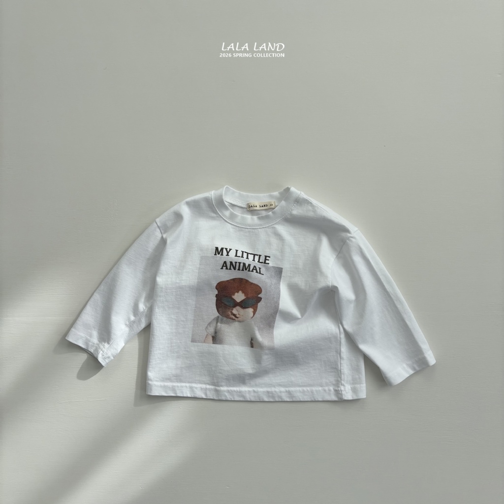 imgi_13_58864618-20o