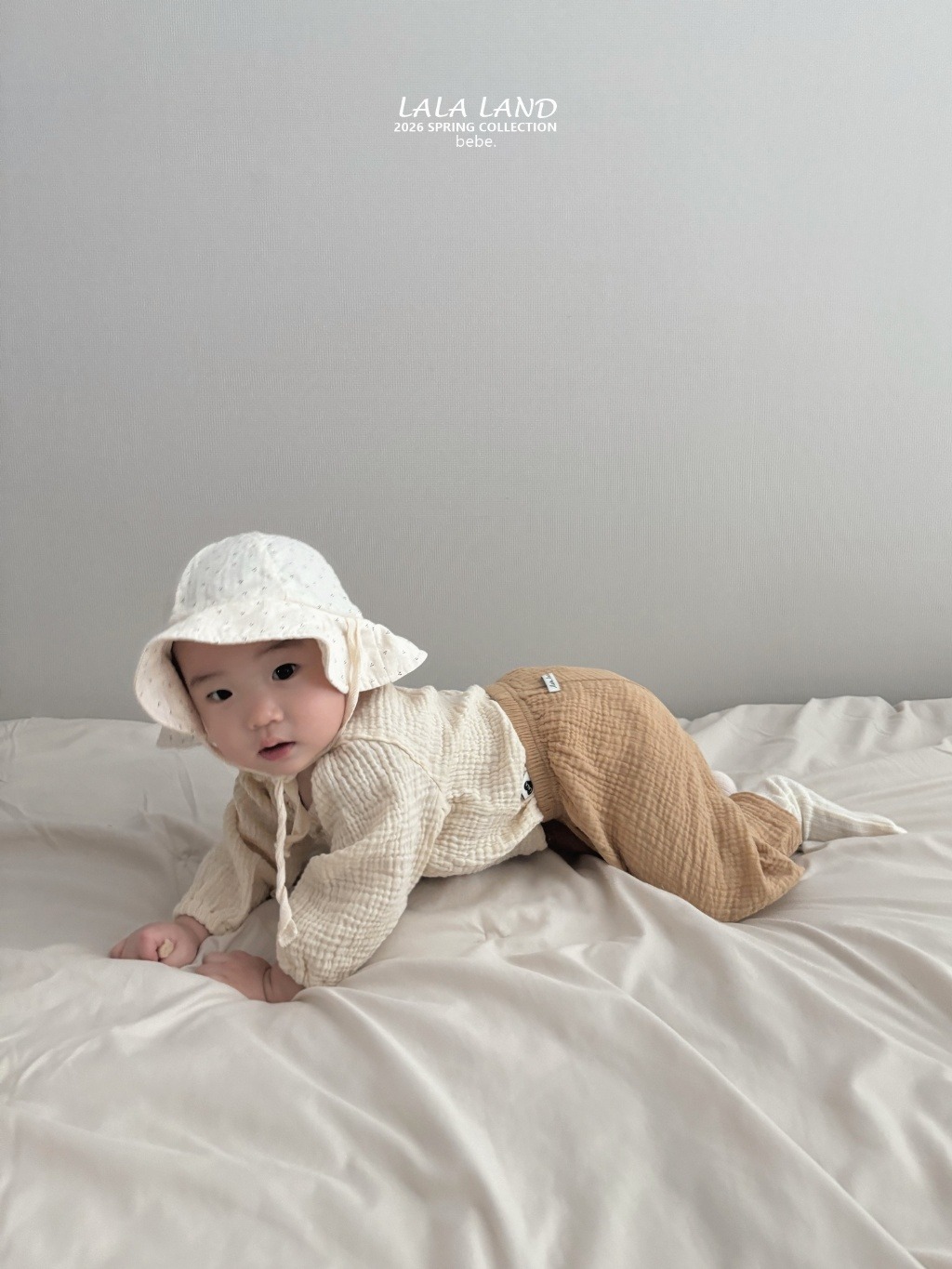 imgi_11_58864567-27o