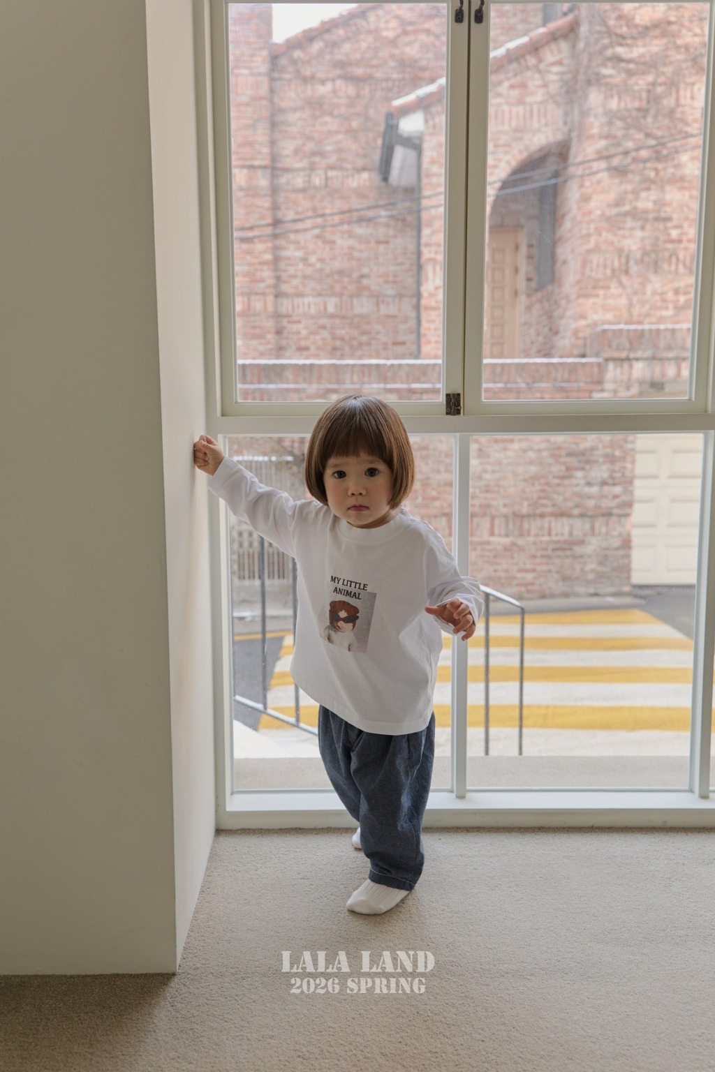 imgi_10_58864547-26o