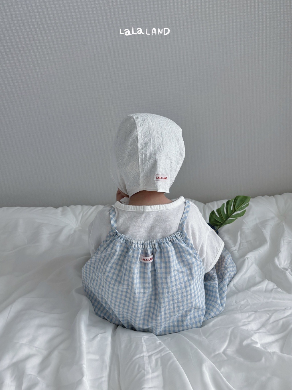 imgi_12_59563469-29o