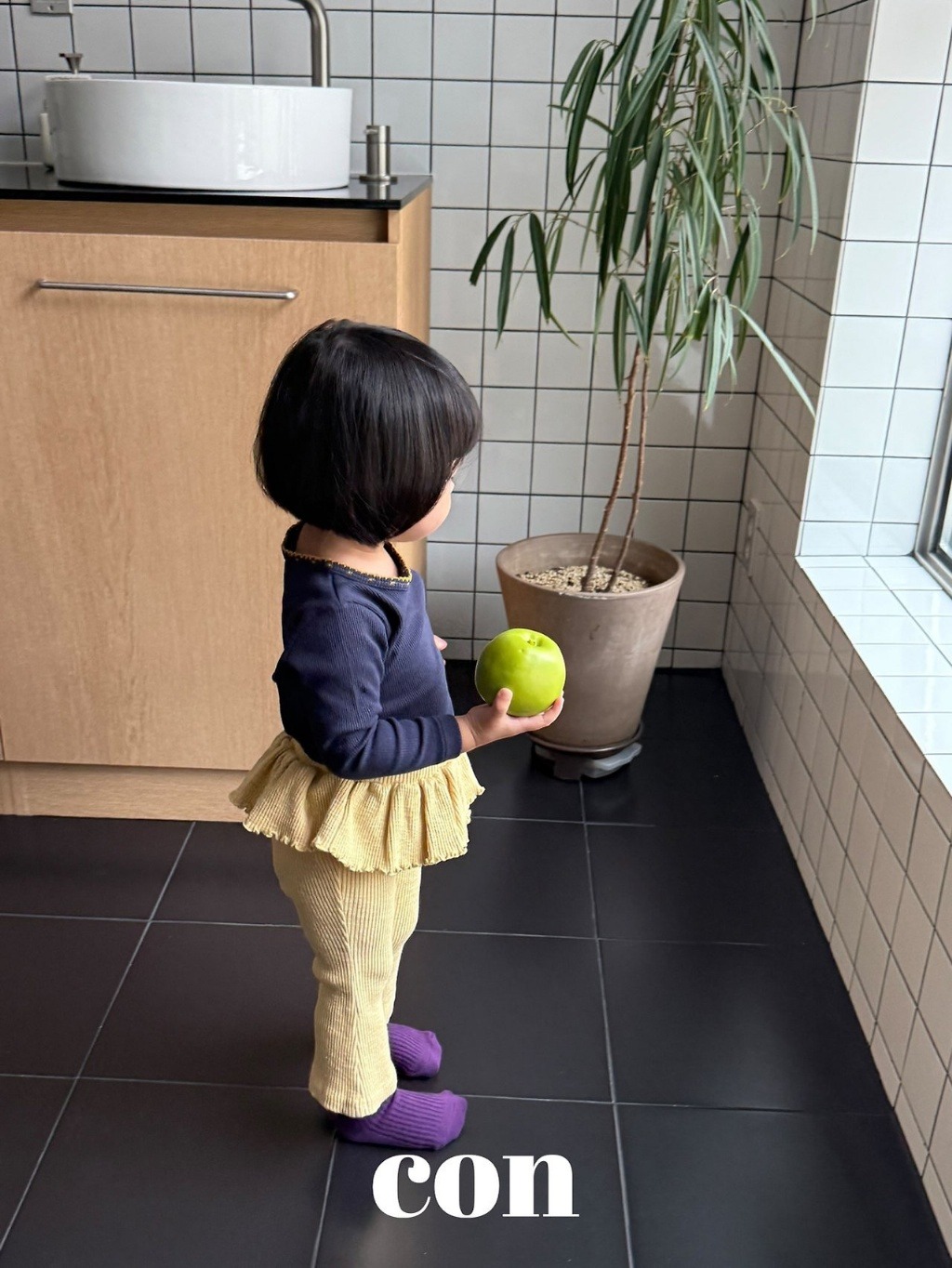 imgi_8_61178589-5o