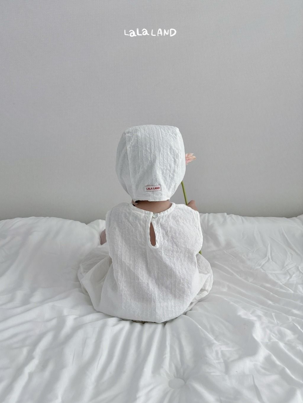 imgi_11_59563483-18o