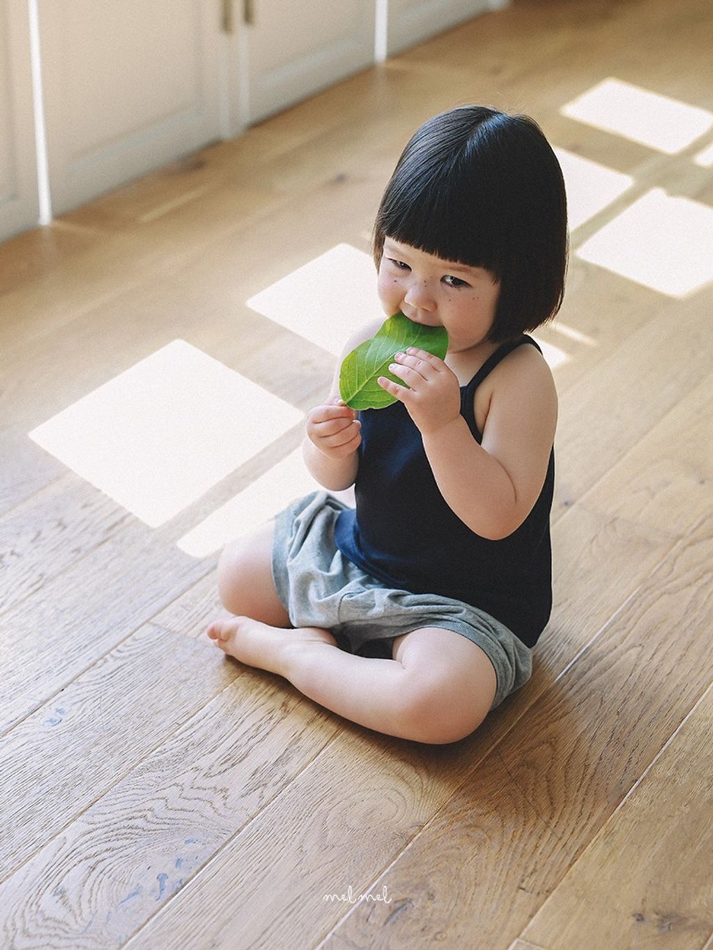 imgi_11_60373287-8o