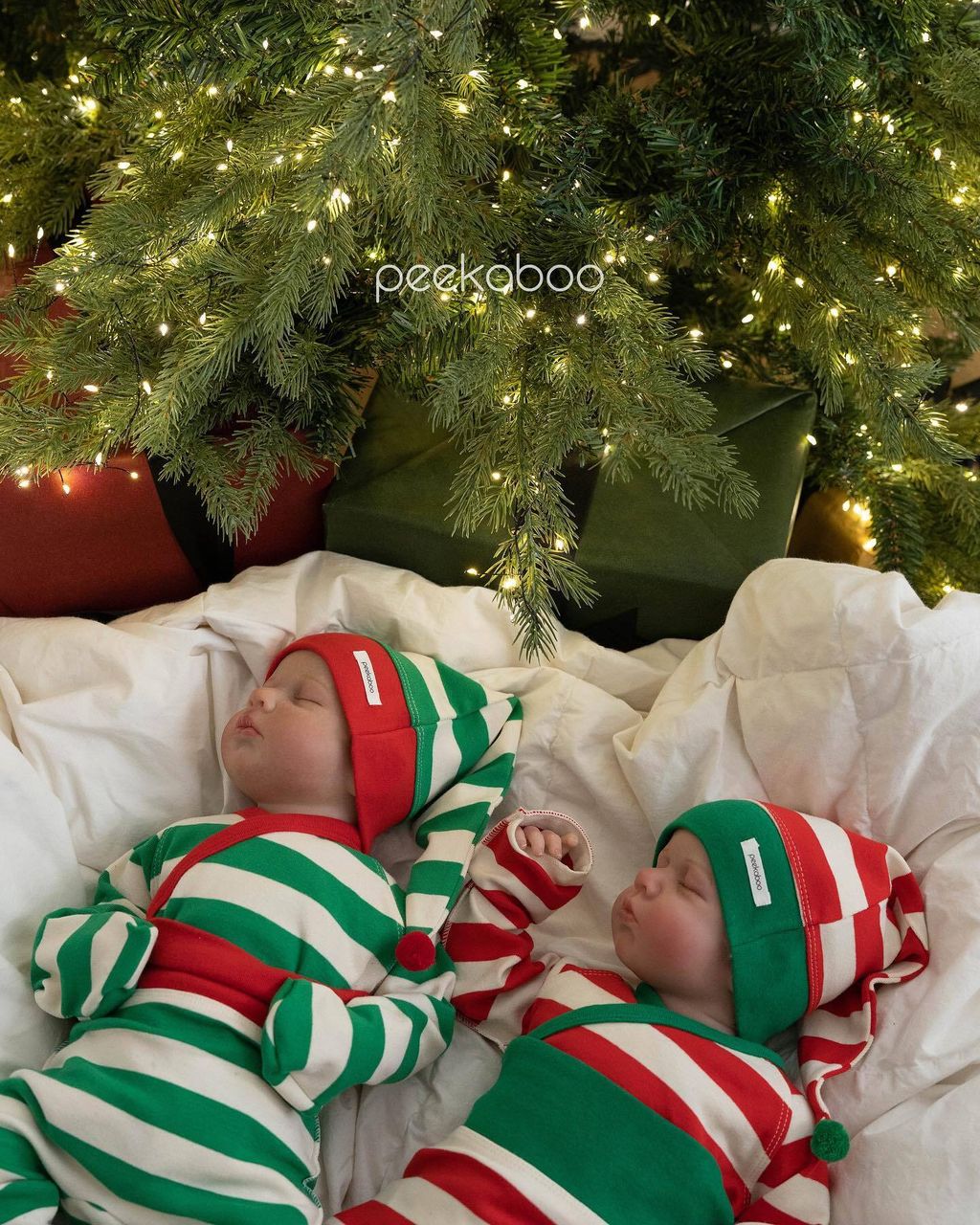 409695272_6860462427372138_2047525115243781777_n