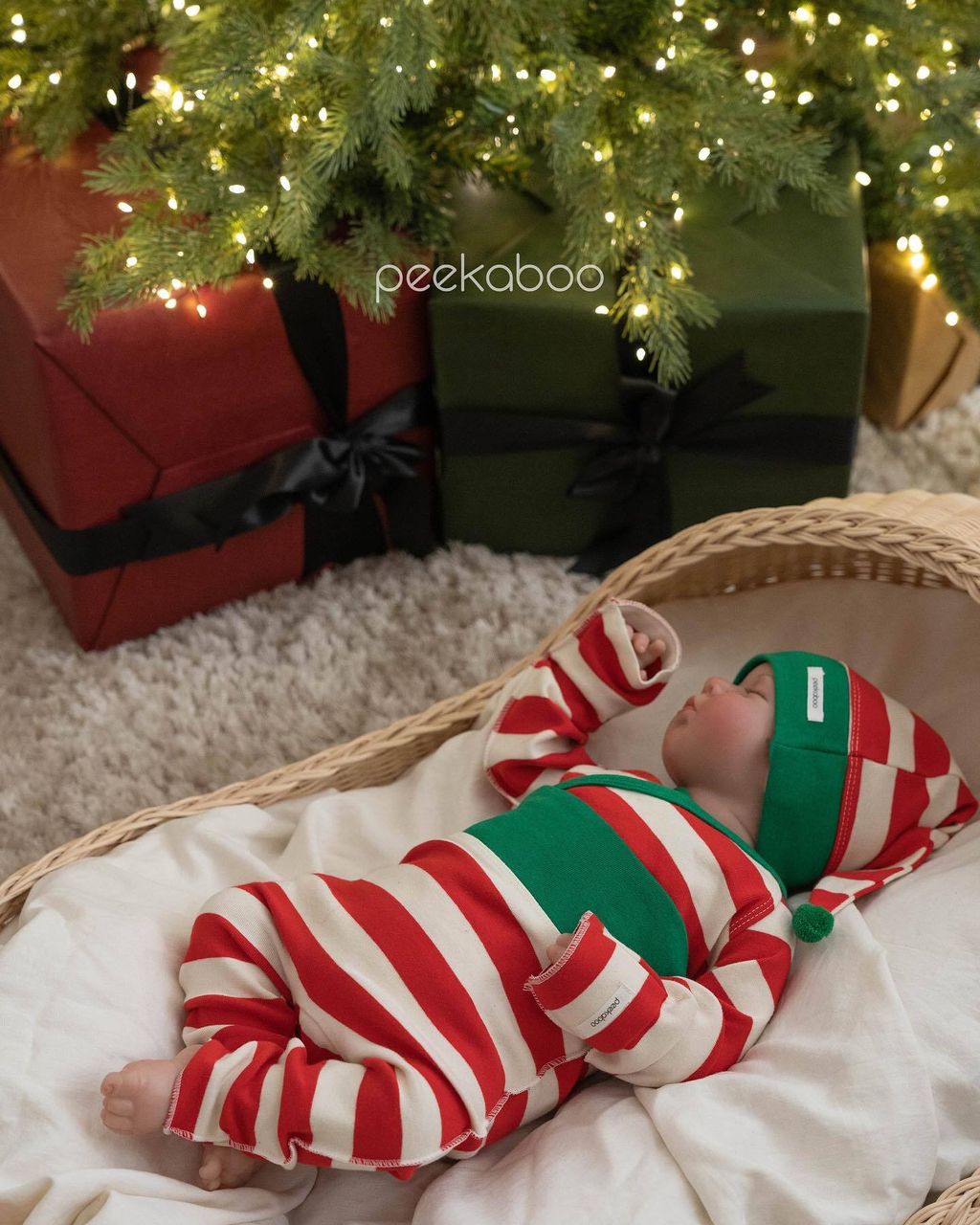 408724493_647527594254647_6179421073635629864_n