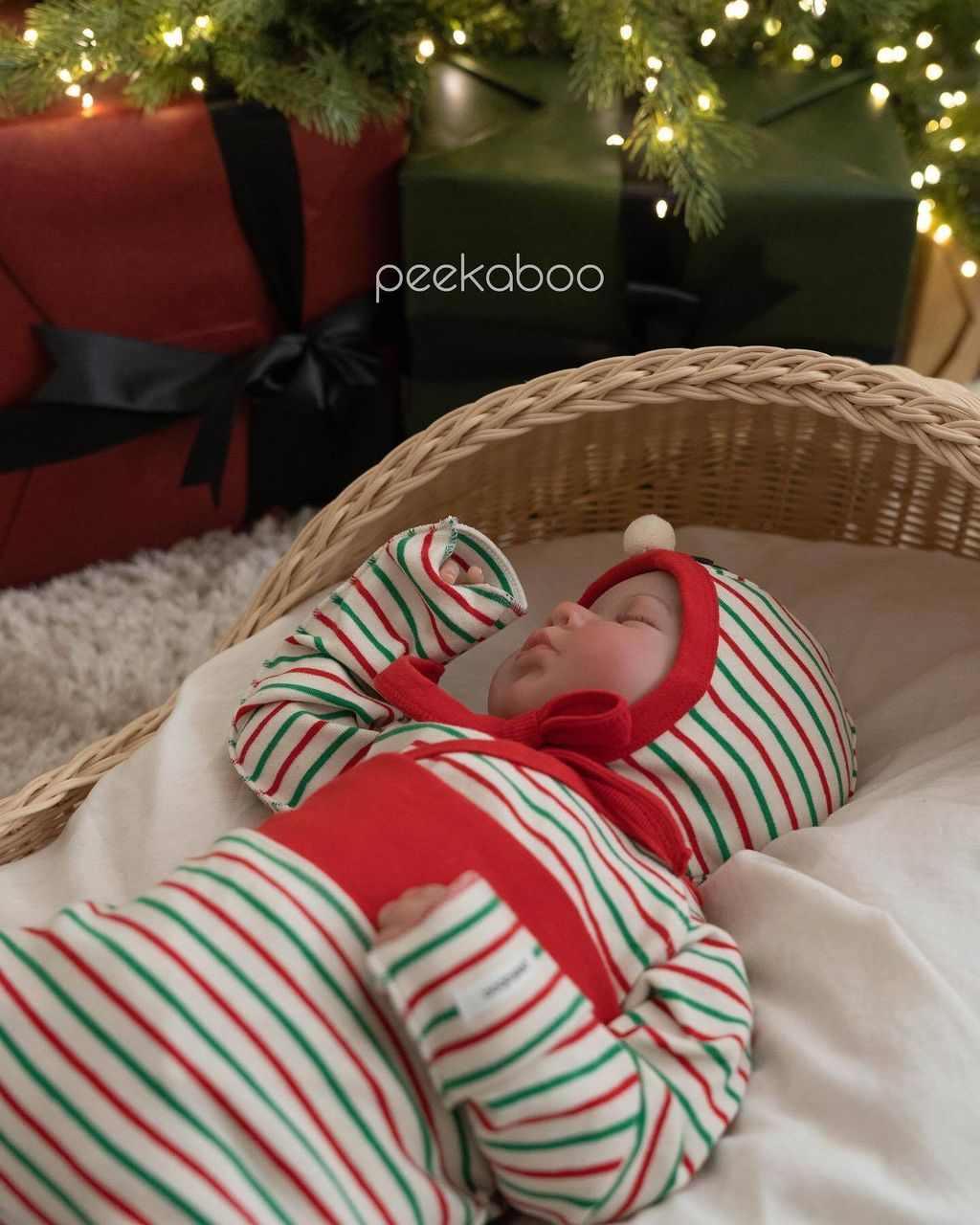 409487607_321899230712107_7026551975338460465_n