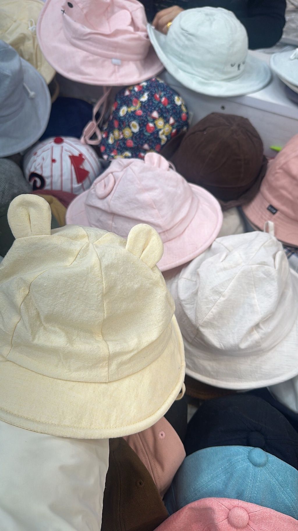 LINE_ALBUM_20251119_251119_25