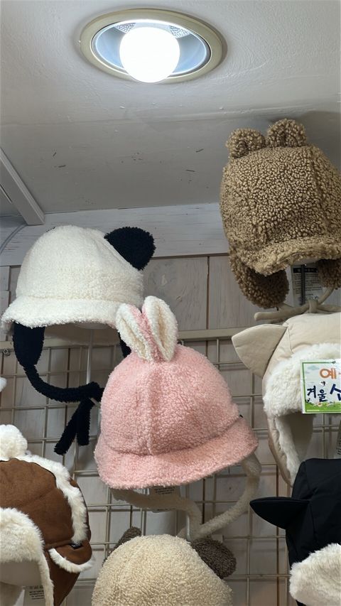 LINE_ALBUM_20251119_251119_14