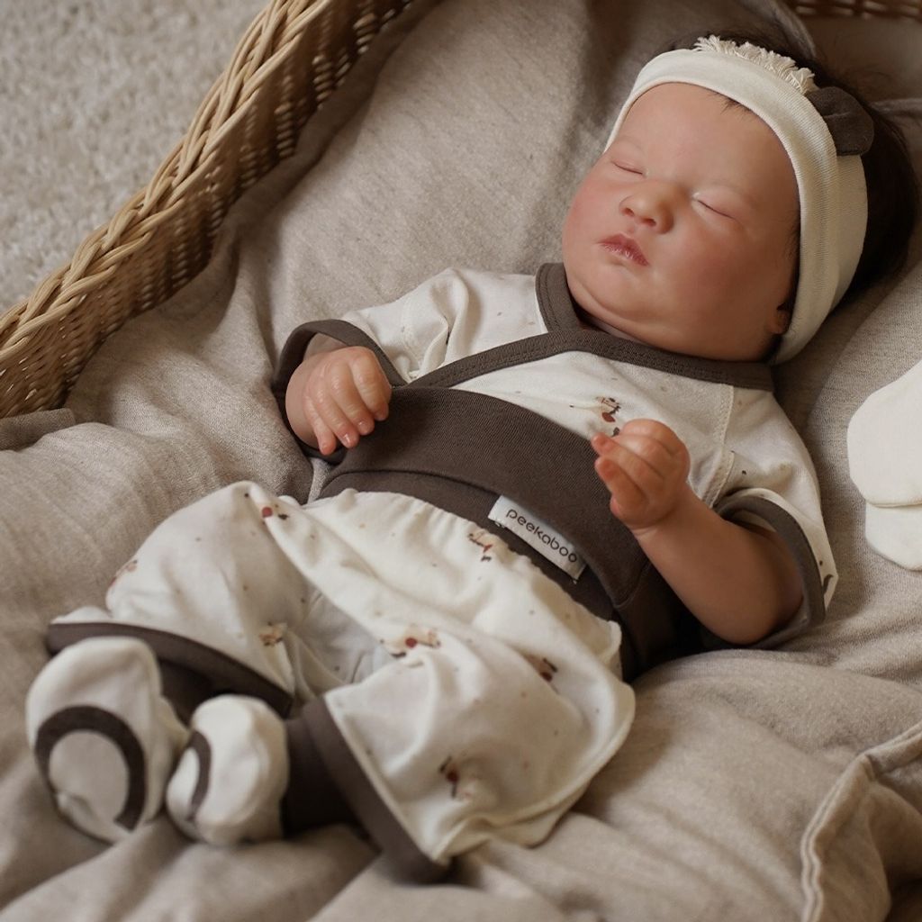 imgi_23_64371526ca39c8c57e9da448b34286a2