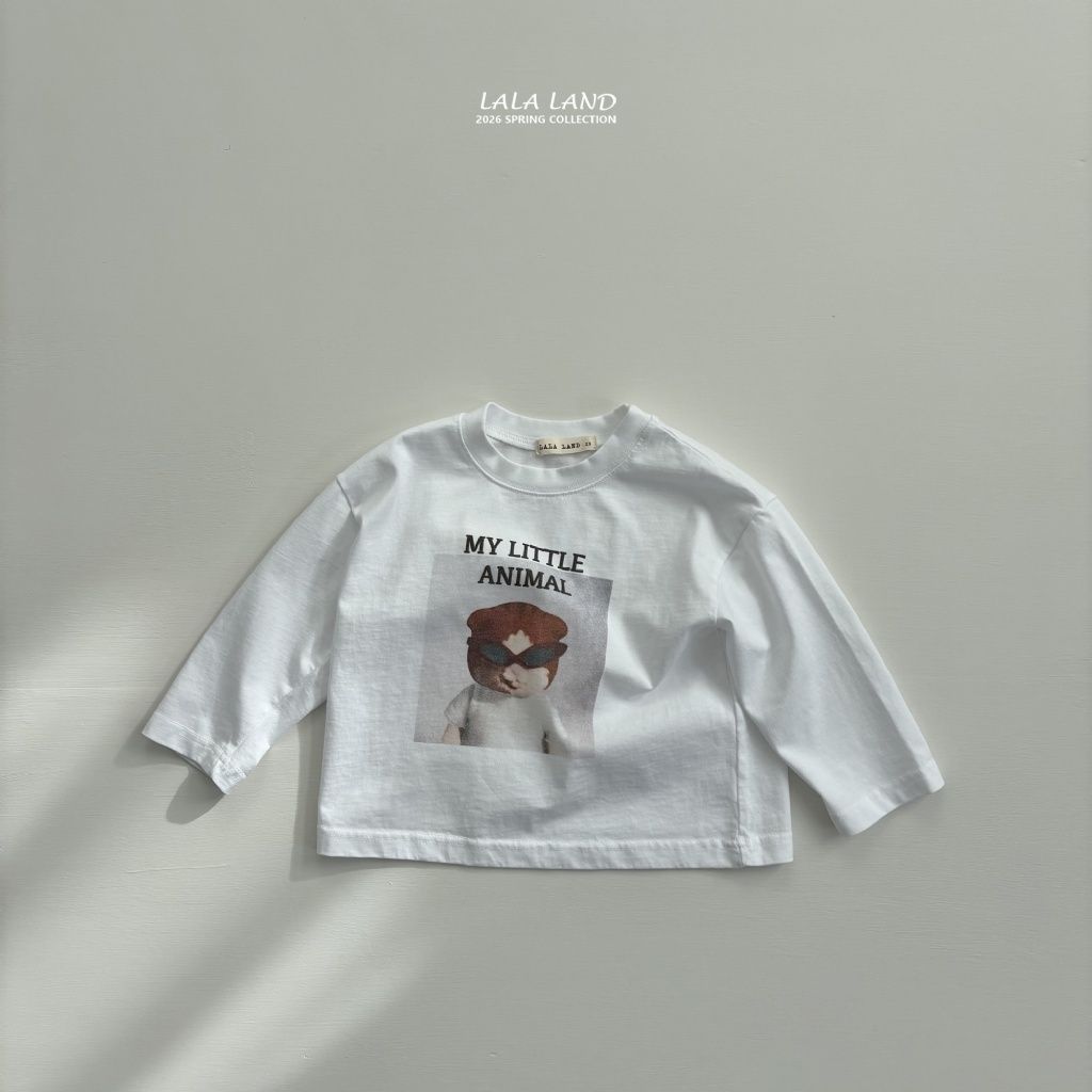 imgi_13_58864618-20o