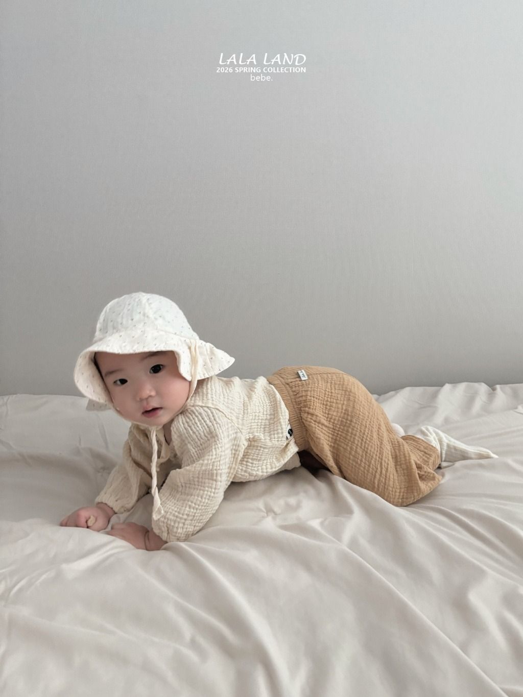 imgi_11_58864567-27o