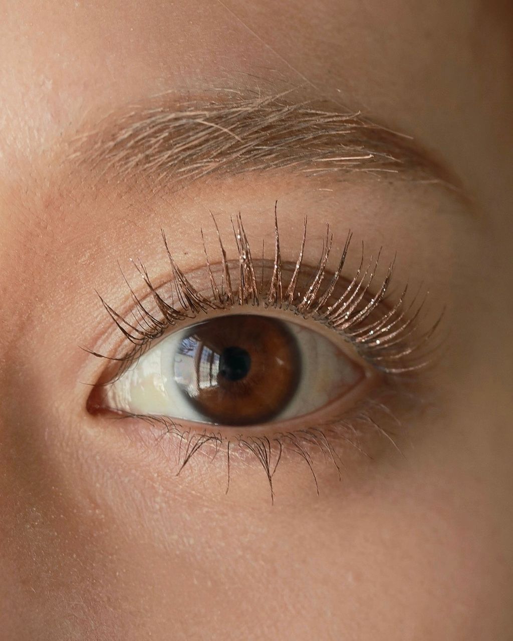 brown2