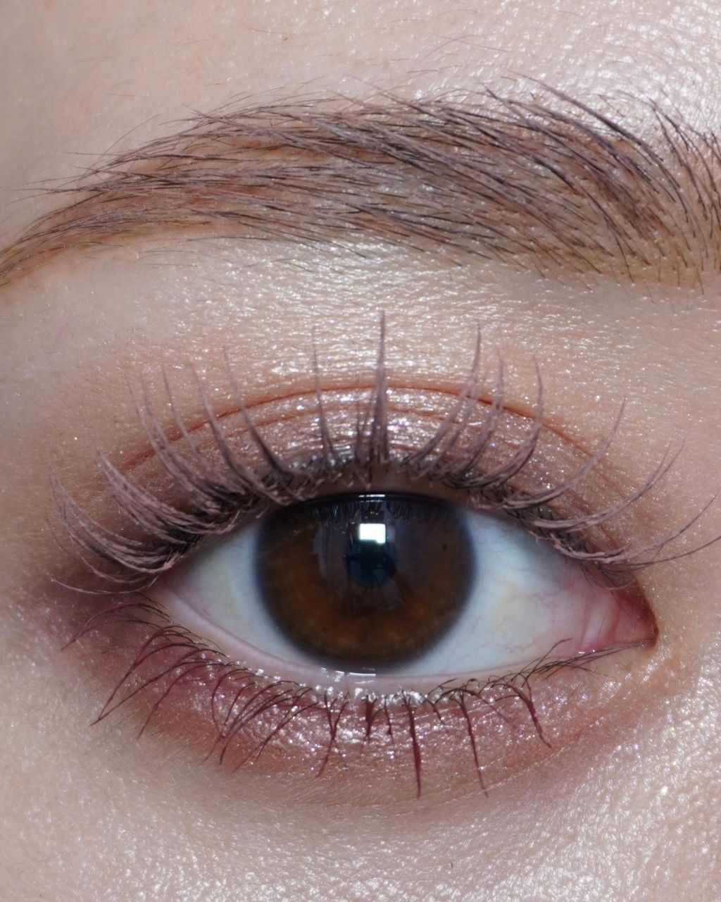ImageDrain-20241031T084939.752Z