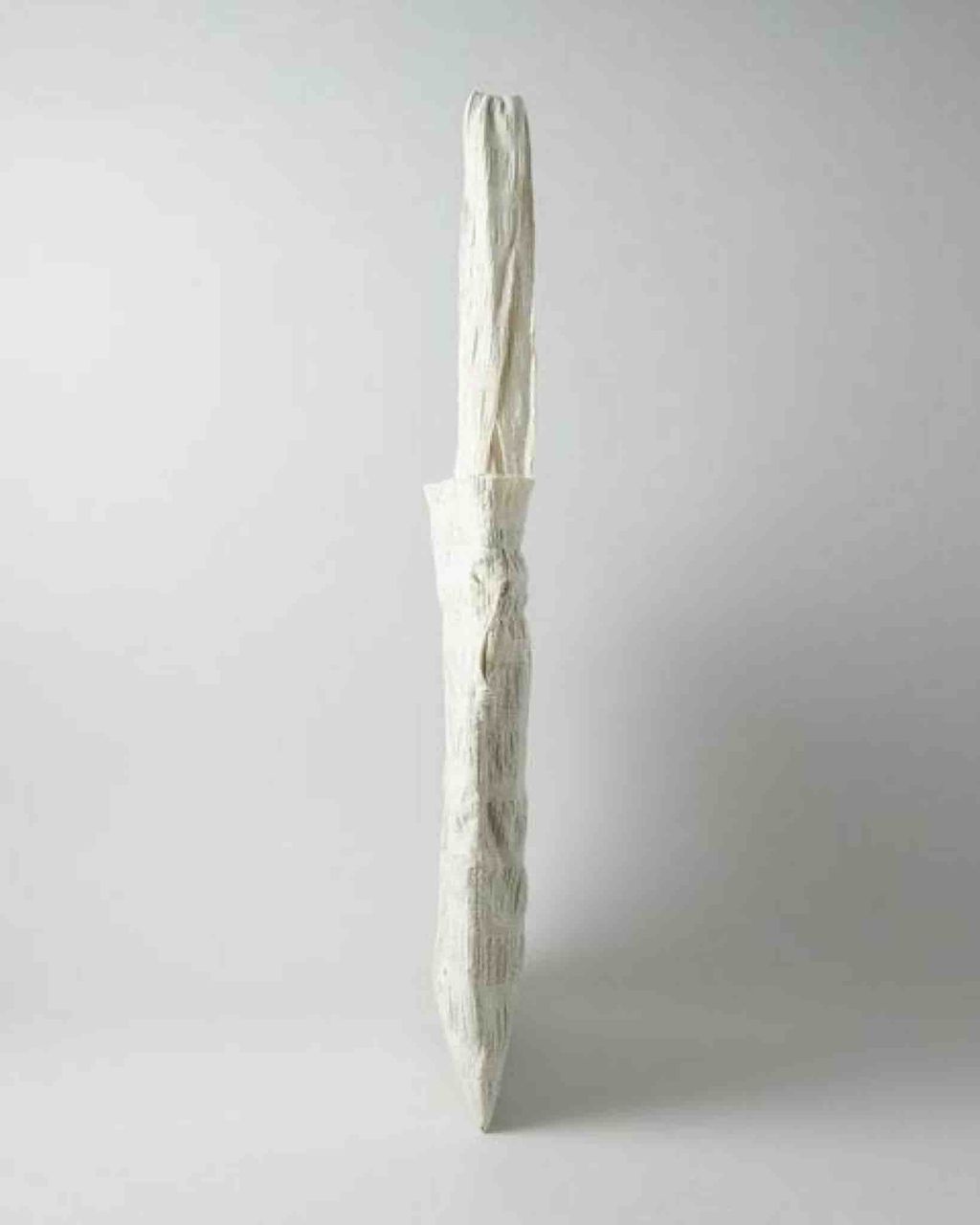 ImageDrain-20250328T034119.457Z