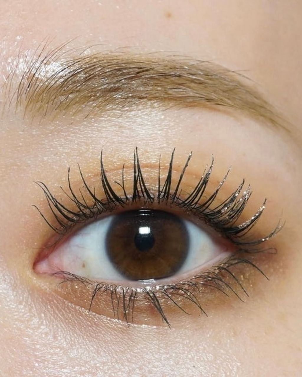 ImageDrain-20240123T052018.129Z