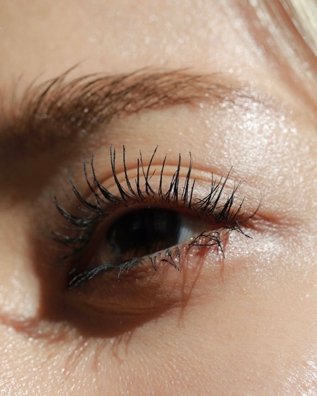 ImageDrain-20240123T052018.196Z