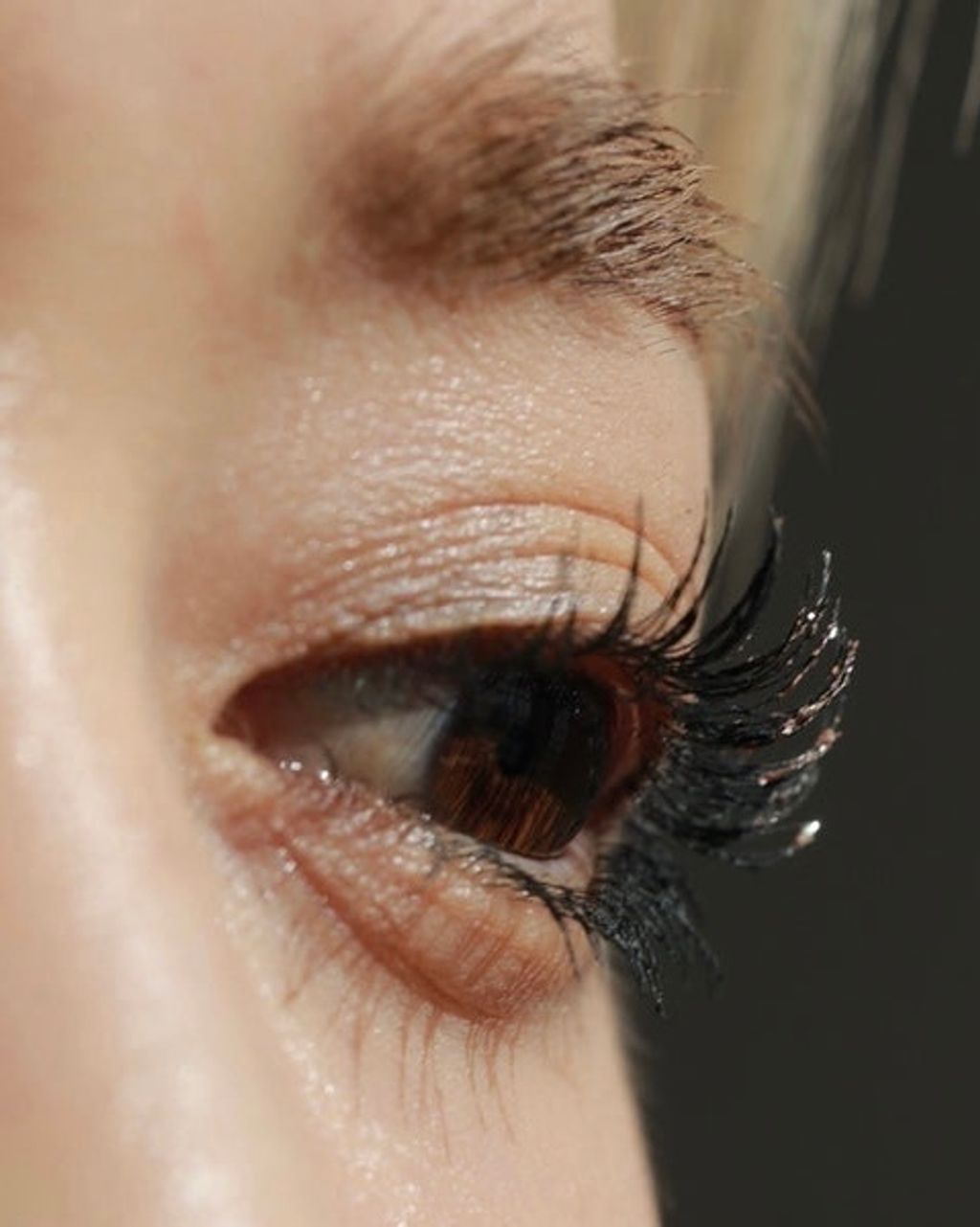 ImageDrain-20240123T052018.229Z