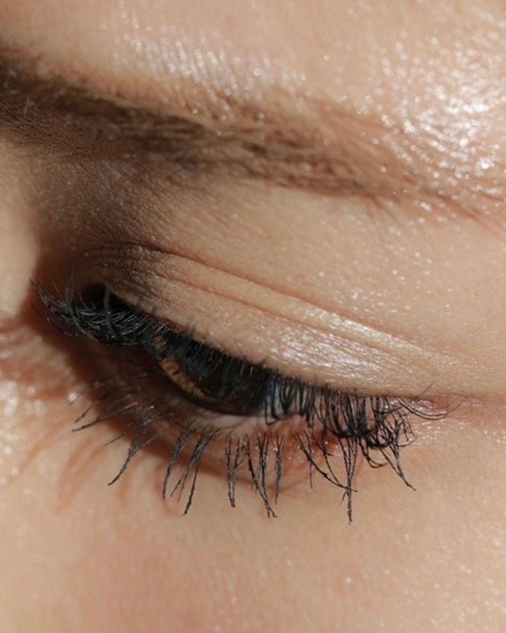 ImageDrain-20240123T052018.254Z