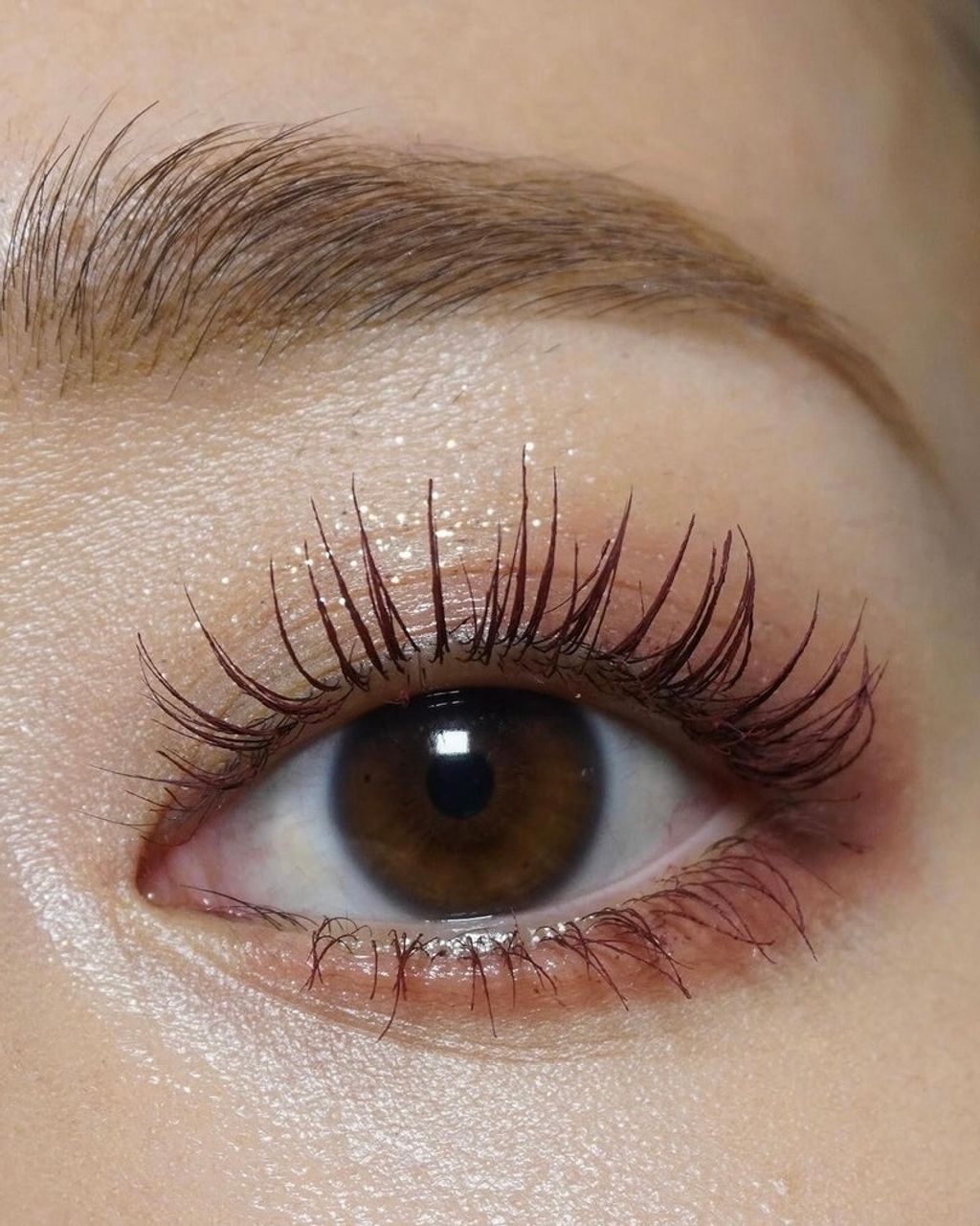 ImageDrain-20240123T052318.675Z