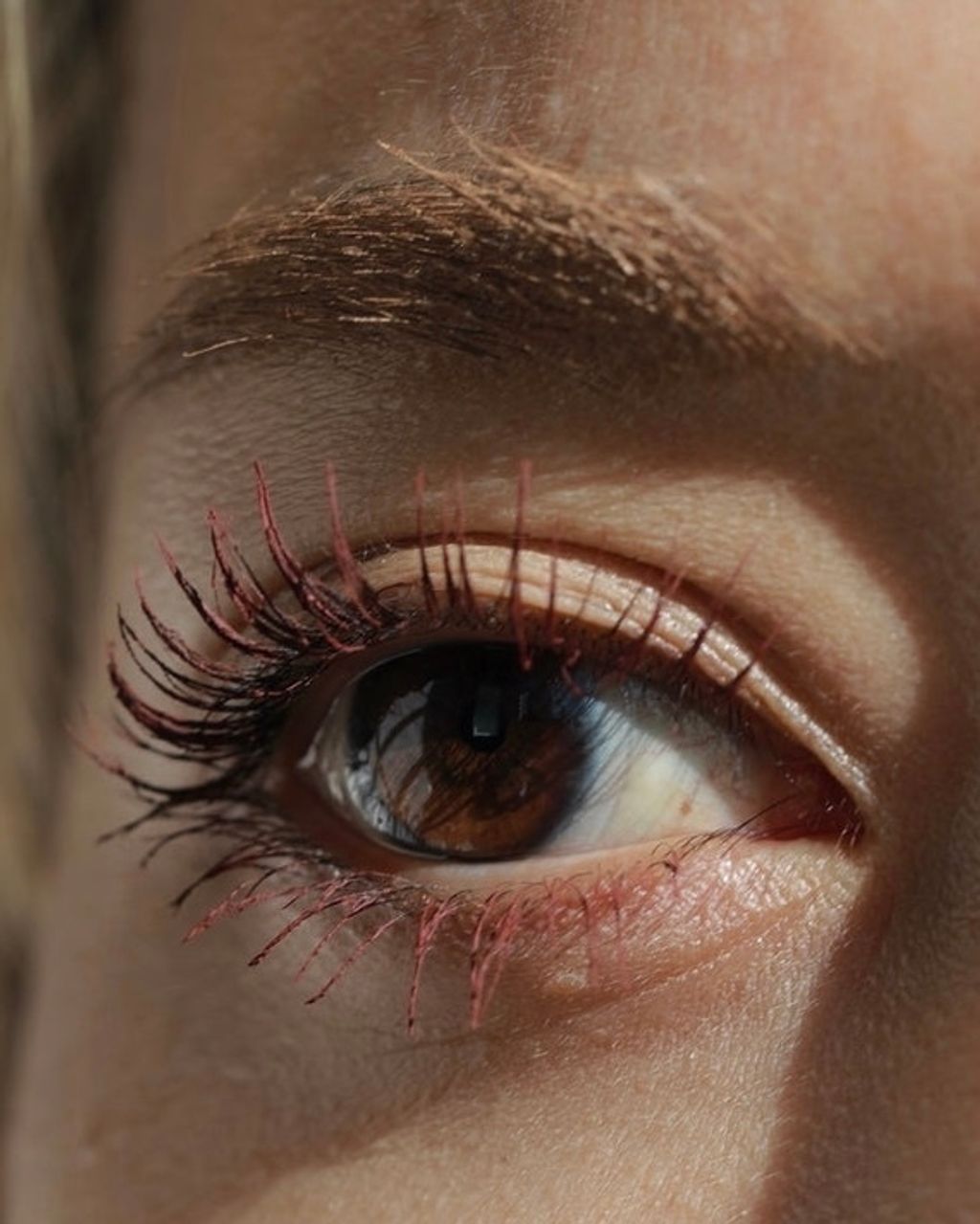 ImageDrain-20240123T052318.748Z