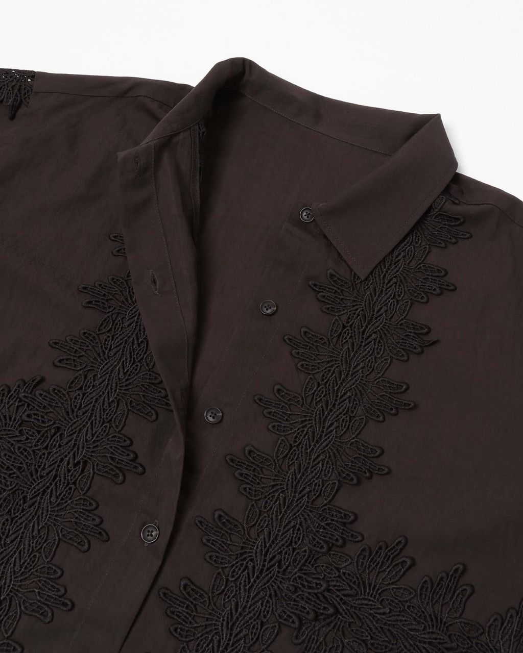 ImageDrain-20260119T150739.732Z