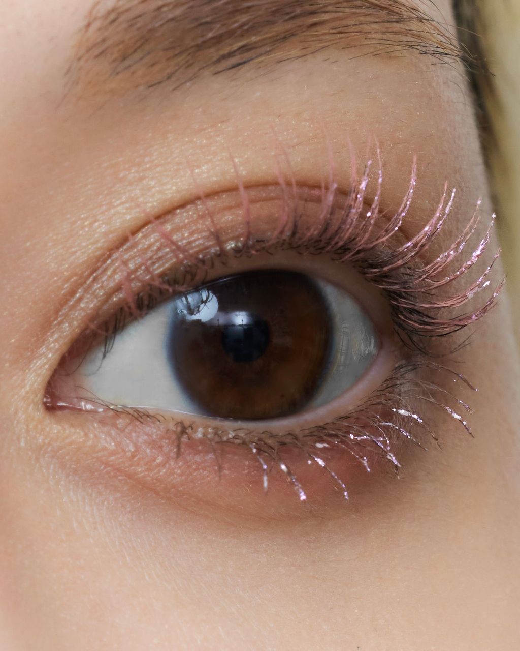 ImageDrain-20260205T144258.886Z