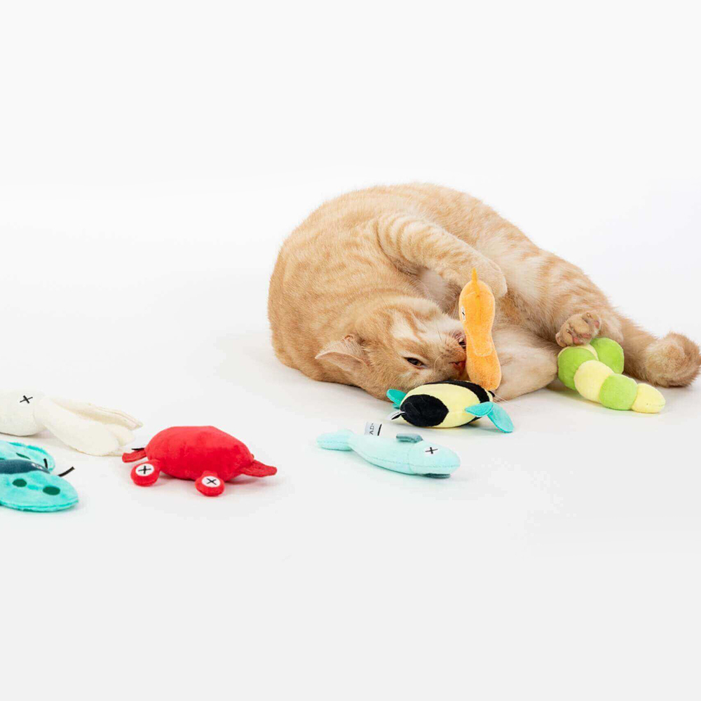 FAD+貓薄荷玩具-02