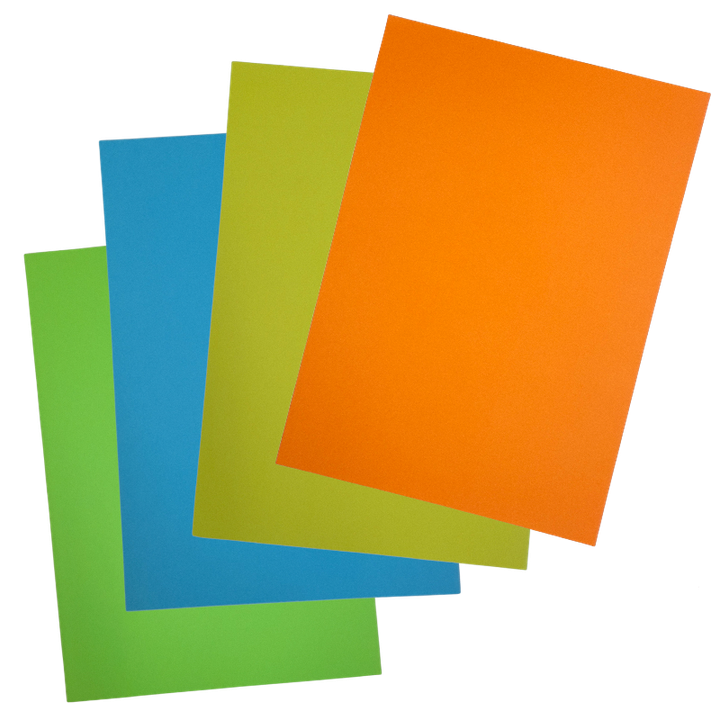 TRANSPARENT (1).png