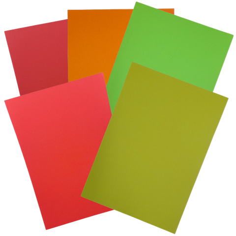 TRANSPARENT (1).png